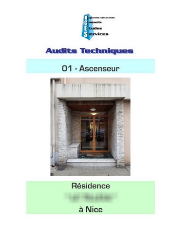 Page Audit